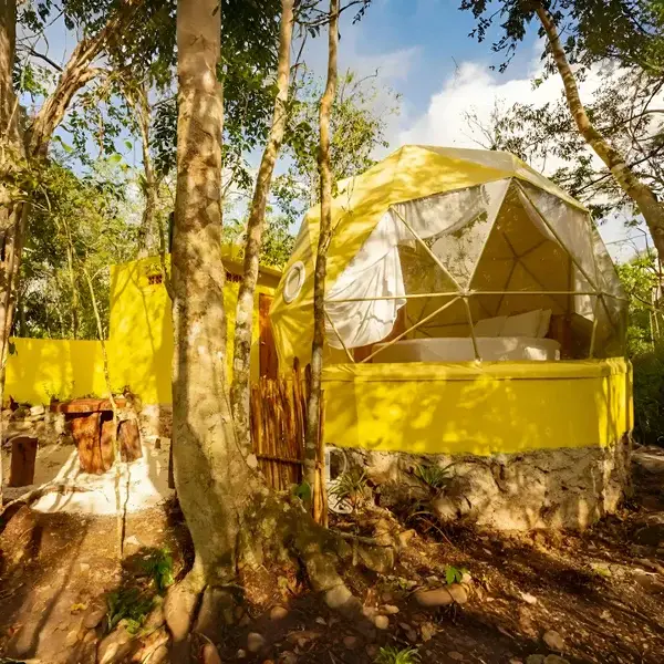 Domo instalado en el entorno selvático, mostrando la integración con la naturaleza local